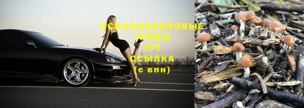 а пвп мука Баксан