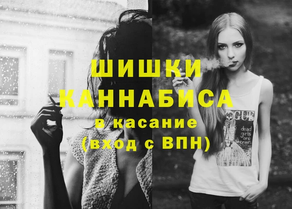 СК Балахна