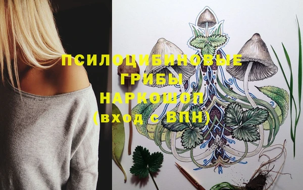 а пвп мука Баксан