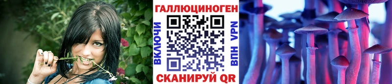 Галлюциногенные грибы прущие грибы  Давлеканово 
